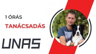 1 órás UNAS tanácsadás